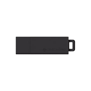 DataStick Pro2 USB 2.0 Flash Drive 1