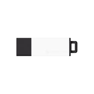 DataStick Pro2, White