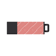 USB Flash Drive, Pro2 Prints, Stripes