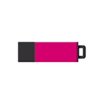 USB Flash Drive, DataStick Pro2