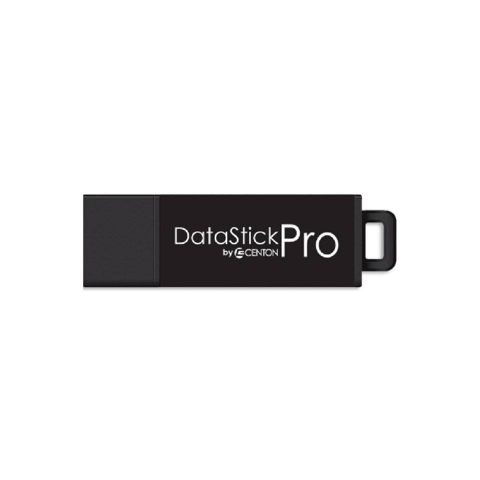 DataStick Pro USB 3.2 Flash Drive, Professional Series