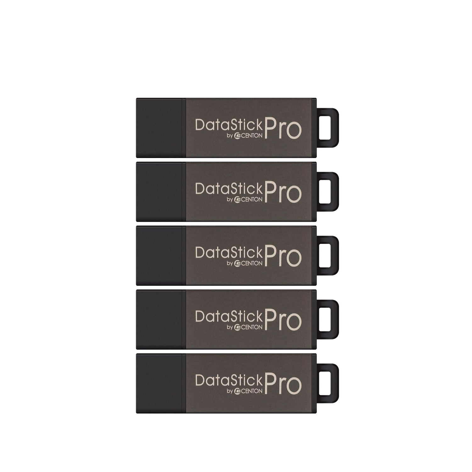 DataStick Pro USB 2.0 Flash Drive, 2GB, Type A – Centon Electronics
