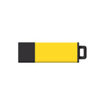 DataStick Pro2 USB 2.0 Flash Drive