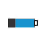 DataStick Pro2 USB 2.0 Flash Drive