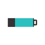 DataStick Pro2 USB 2.0 Flash Drive