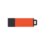 DataStick Pro2 USB 2.0 Flash Drive