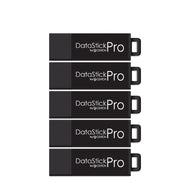 DataStick Pro 3.0