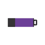 DataStick Pro2 USB 3.2 Flash Drive