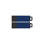 DataStick Pro2 USB 2.0 Flash Drive