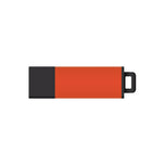 DataStick Pro2, Amber