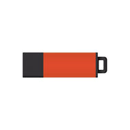 DataStick Pro2, Amber