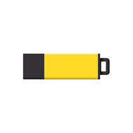 DataStick Pro2, Yellow